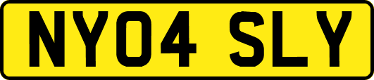 NY04SLY
