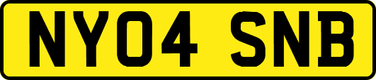 NY04SNB