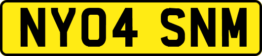 NY04SNM