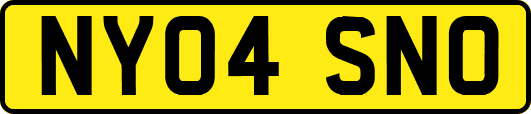 NY04SNO
