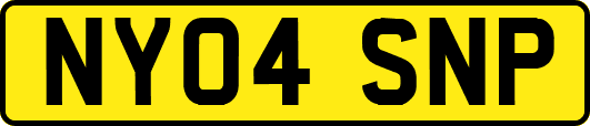 NY04SNP