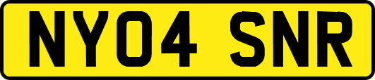 NY04SNR