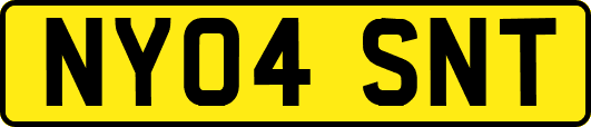 NY04SNT