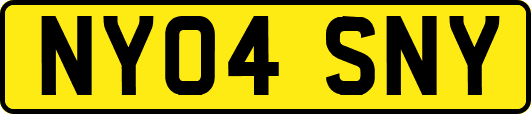 NY04SNY