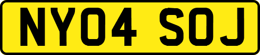 NY04SOJ