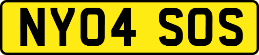 NY04SOS