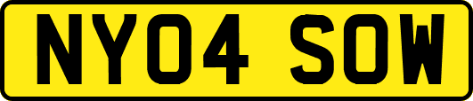 NY04SOW