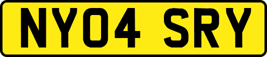 NY04SRY