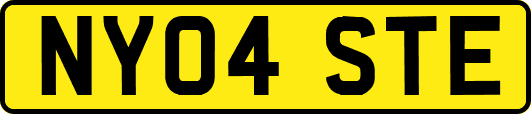 NY04STE