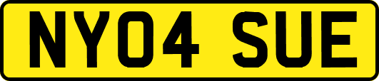 NY04SUE