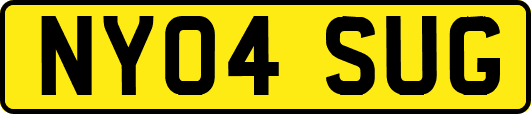 NY04SUG