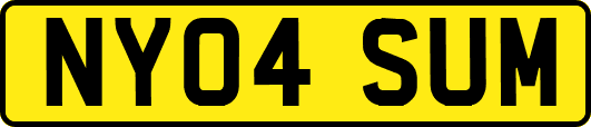 NY04SUM