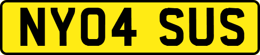 NY04SUS