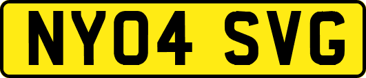 NY04SVG