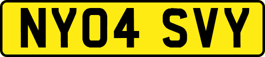 NY04SVY