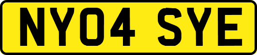 NY04SYE