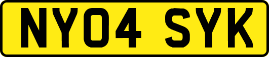 NY04SYK