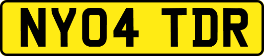 NY04TDR