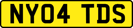 NY04TDS
