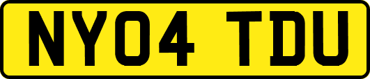 NY04TDU