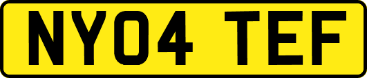 NY04TEF
