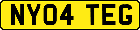 NY04TEG