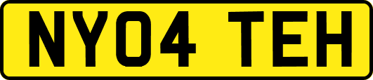 NY04TEH