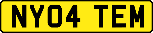 NY04TEM