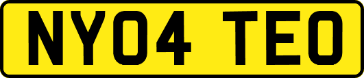 NY04TEO
