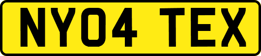 NY04TEX