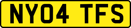 NY04TFS