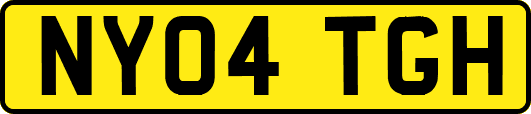 NY04TGH