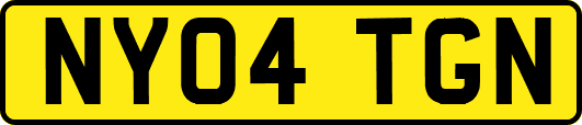 NY04TGN