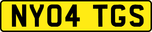 NY04TGS