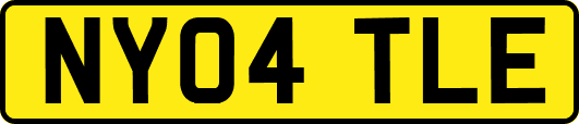 NY04TLE