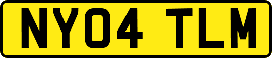 NY04TLM