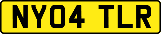 NY04TLR