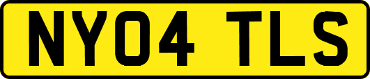 NY04TLS