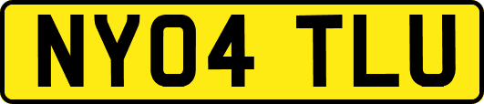NY04TLU