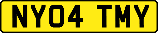 NY04TMY
