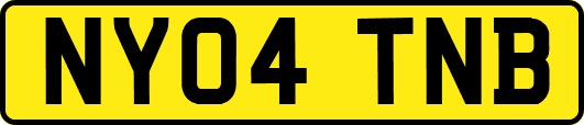 NY04TNB