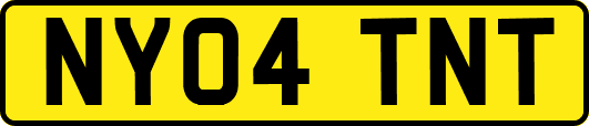 NY04TNT