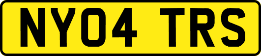 NY04TRS