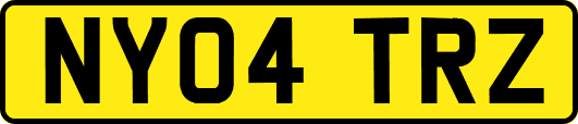 NY04TRZ