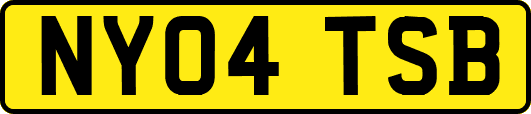 NY04TSB