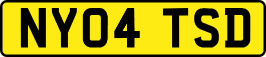 NY04TSD