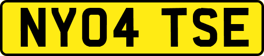 NY04TSE
