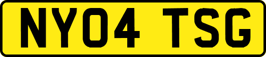 NY04TSG