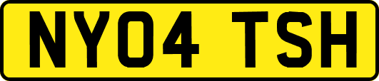 NY04TSH