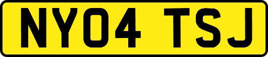 NY04TSJ
